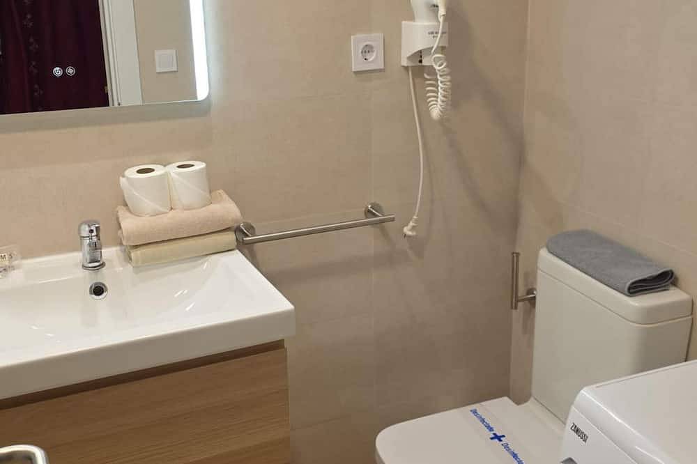Ganze Wohnung, Renoviertes Bergstudio in Candanchú für 4 Pers. in Candanchú, Aisa