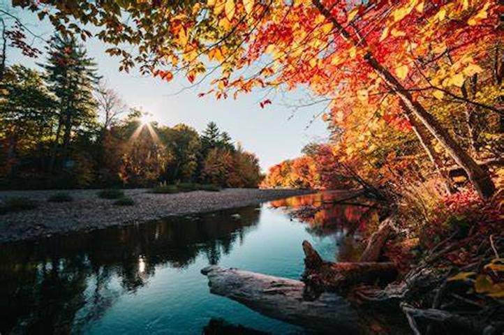 Location de vacances pour 5 personnes, avec piscine à Saint-Germain-d'Esteuil