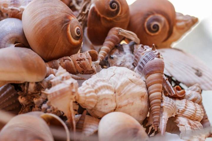 Gîte pour 4 personnes, avec terrasse et vue à Tellaro - 4