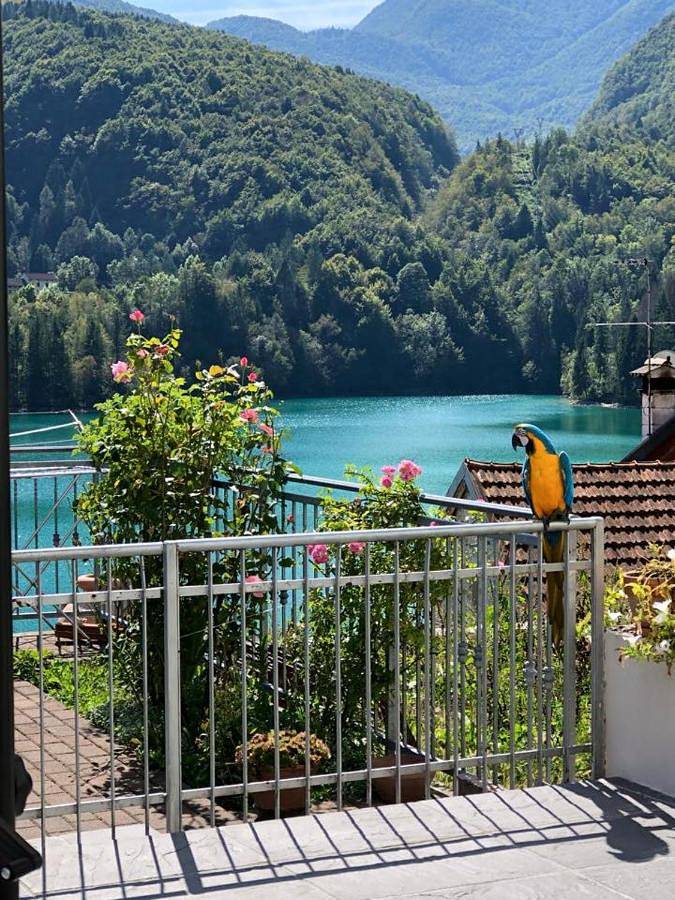 Appartamento per 4 persone, con Terrazza e Giardino nonché Vista lago e Panorama in Provincia di Pordenone