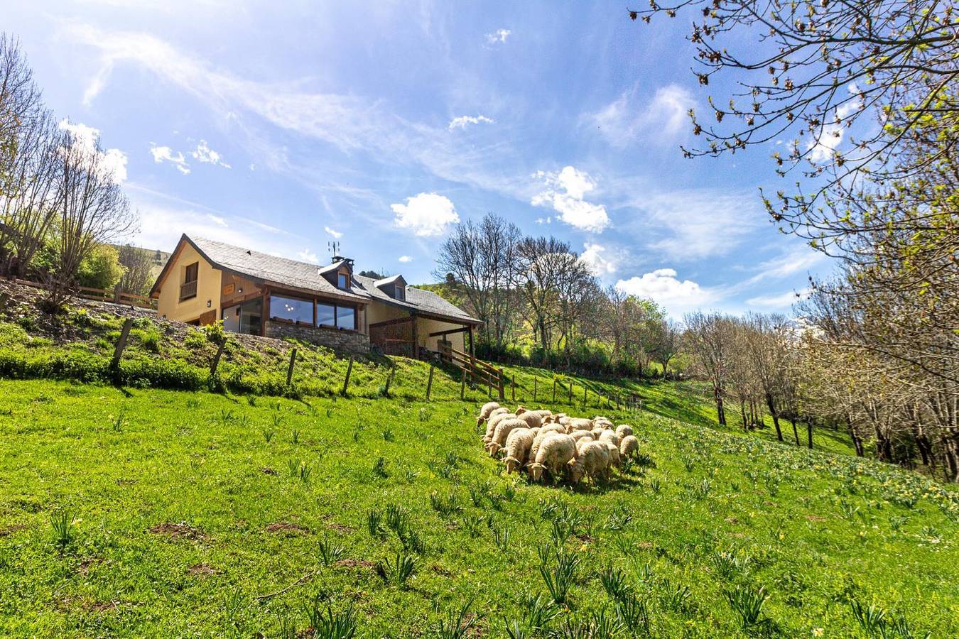 La Bergerie de Francis in Cazaux-Fréchet-Anéran-Camors, Pyrénées