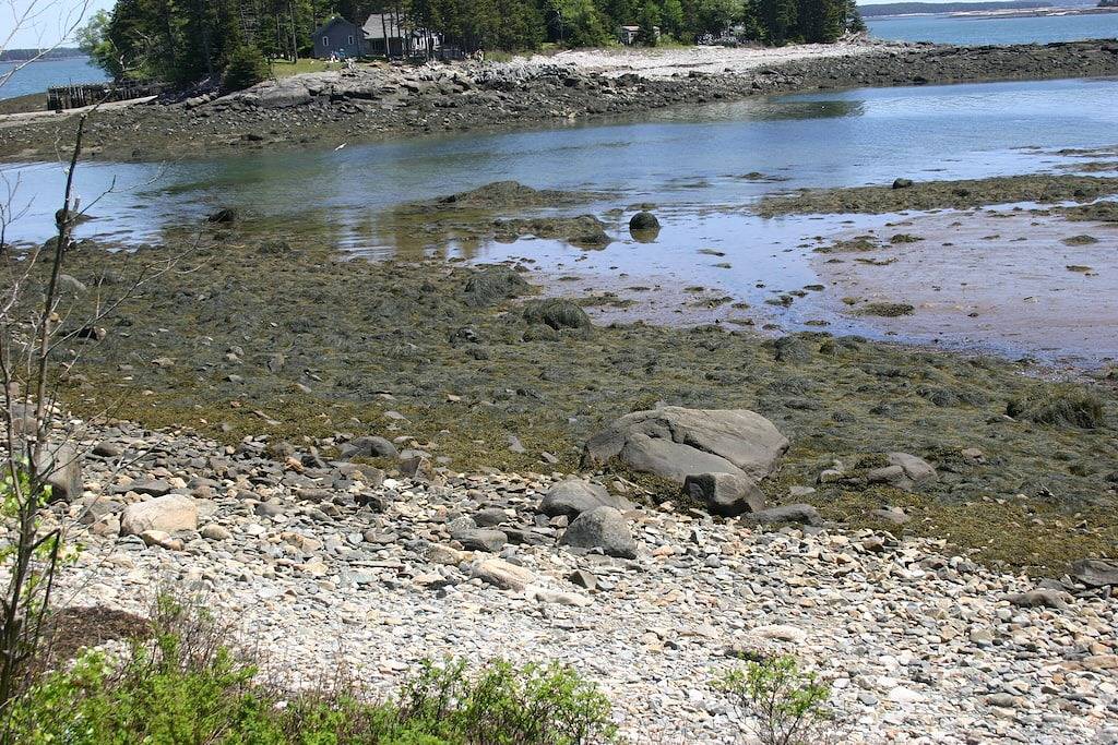 Ruhiges Ferienhaus am Meer in der Wohoa Bay in Washington County (Maine)