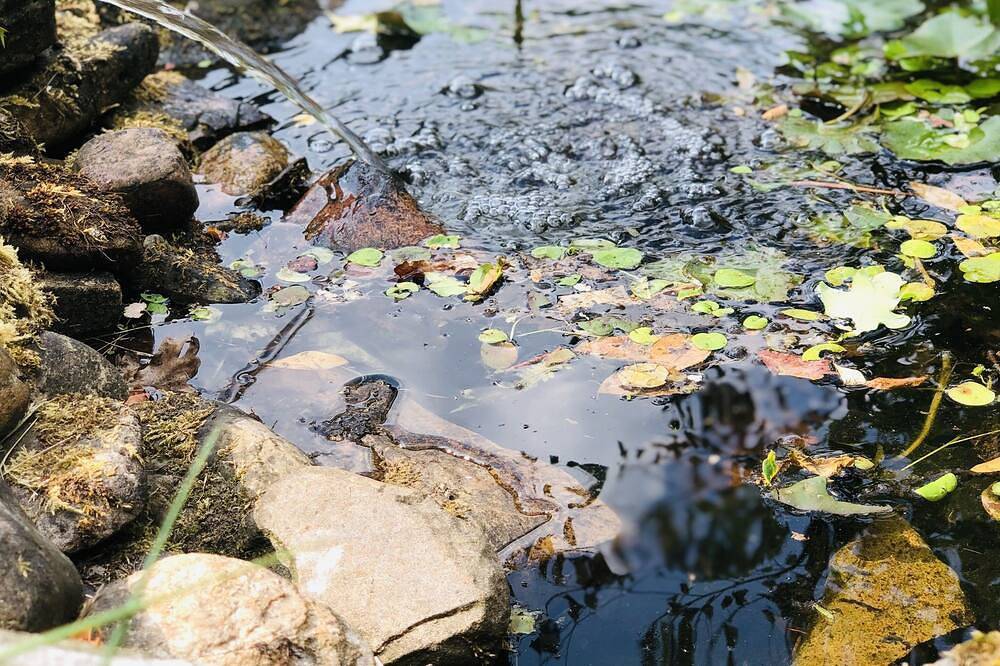 Privé Wellness Verblijf met Grote Tuin in de Natuur - Natuurhuisje Lotus — Bild 5