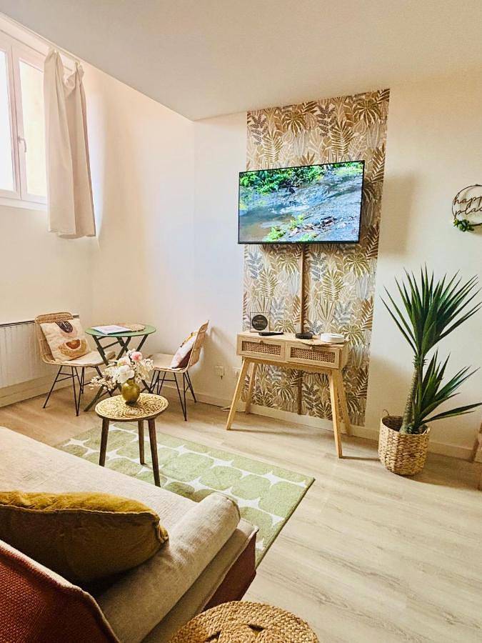 Appartement entier, One-Bedroom Apartment in Vienne (Isère), Région de Vienne
