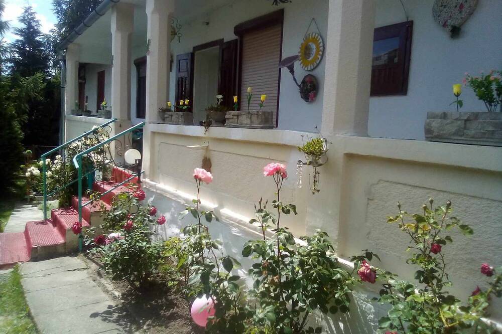 Hungarian old village guest house in Borsod-Abaúj-Zemplén megye