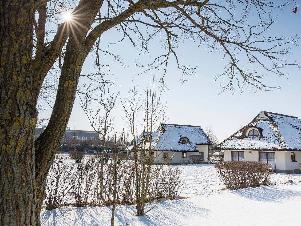 Van der Valk Resort Linstow Ferienhäuser - Ferienwohnung (a) in Krakow am See, Mecklenburgische Seenplatte