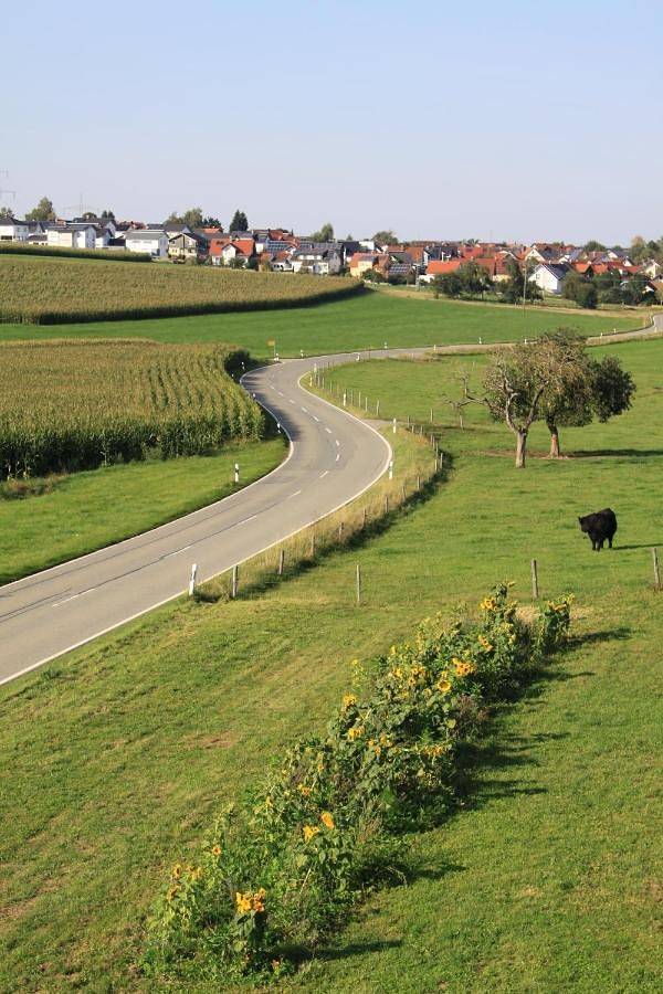 Ganze Wohnung, Traubshof in Ochsenhausen, Landkreis Biberach