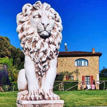 Agriturismo per 3 Persone in Riparbella, Riviera Toscana, Foto 3