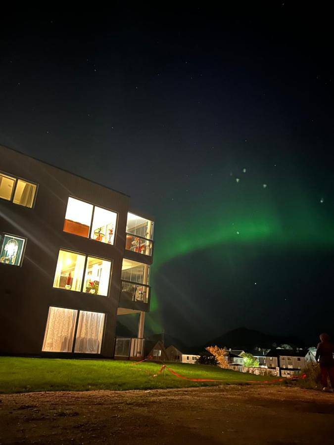 Ferienwohnung für 2 Personen, mit Terrasse und Garten, mit Haustier in Leknes - 2