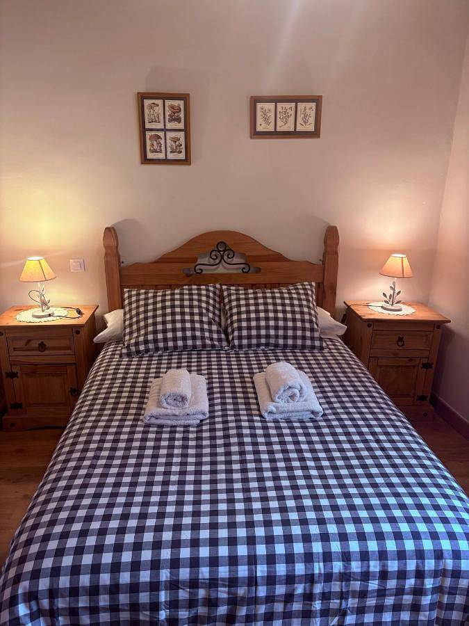 Casa rural para 11 personas, con terraza, Se admiten mascotas en Ribera del Duero - 3