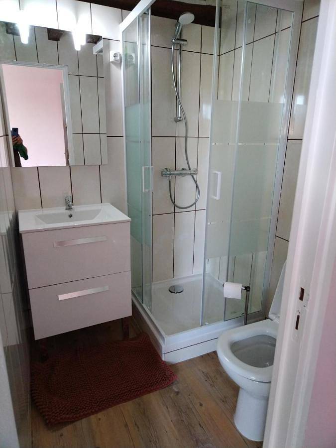 Gîte pour 7 personnes, avec terrasse ainsi que jardin et vue, animaux acceptés à Charly-sur-Marne - 2