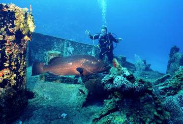 Villa for 8 People in Panama City (Florida), Emerald Coast, Photo 3