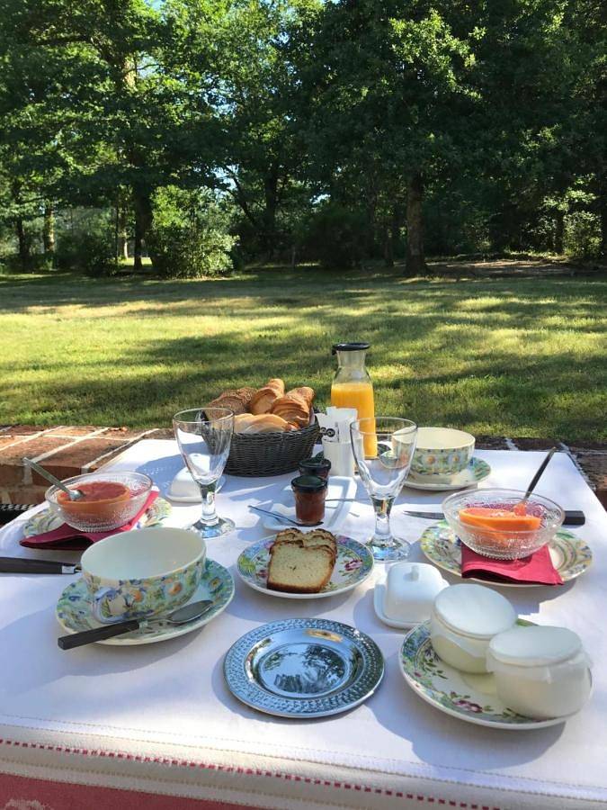 Chambre d’hôte pour 3 personnes, avec jardin et vue ainsi que vue sur le lac et piscine, animaux acceptés dans Loiret - 4