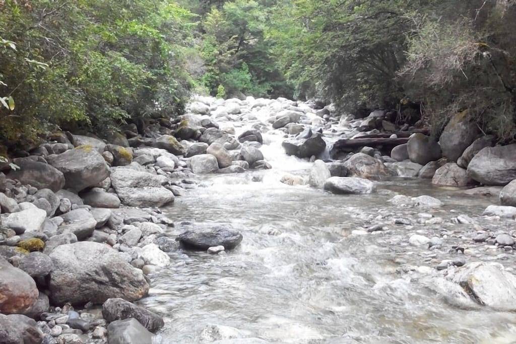 Ruhiger, abgelegener, ikonischer Buschbach in West Coast (Neuseeland)