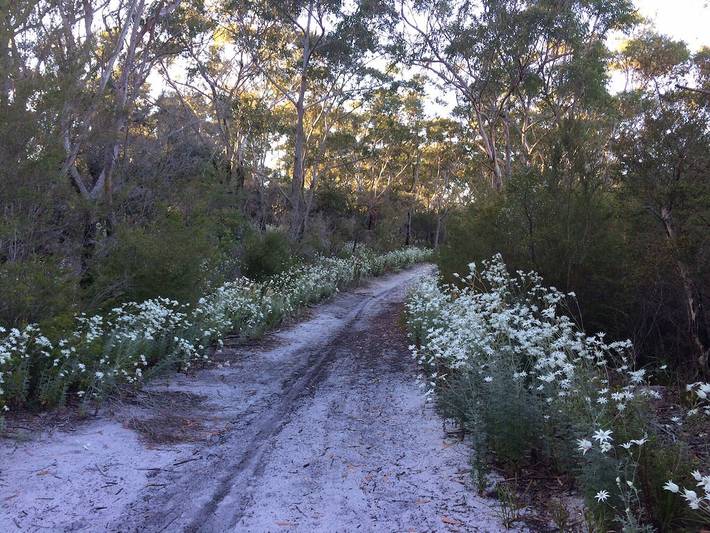 Holiday rental for 5 people, with garden and balcony, with pets in Australia