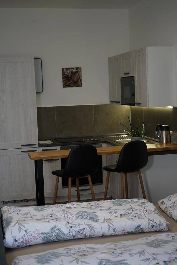 Ganze Wohnung, Hofmann Apartment in Cheb, Karlsbad und Umgebung
