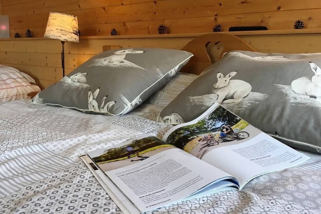 Maison d’hôtes « Chambre Bachole » avec vue montagne, piscine partagée et Wi-Fi in Charancieu, Région de La Tour-du-Pin