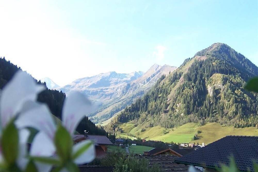 App-Vorstanddorf/1 bedroom/shower, Wc - Pension Sonnblickhof *** in Rauris, Ski Amadé
