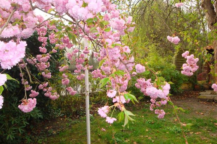 Gîte pour 4 personnes, avec vue sur le lac ainsi que vue et jardin à Bischwiller - 4