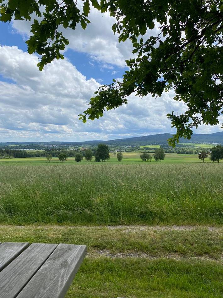 Ferienhaus für 8 Personen, mit Whirlpool und Sauna sowie Garten - 1