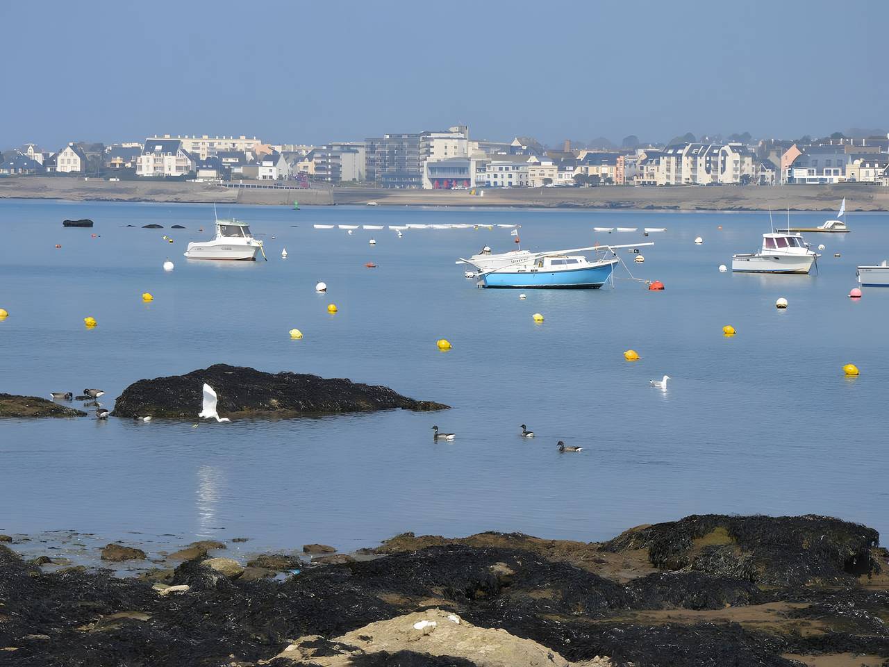 Appartement entier, Appartement « Vue Mer Panoramique » avec vue sur mer, balcon et Wi-Fi in Le Cabellou, Concarneau