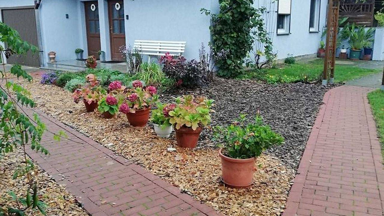 Ganze Ferienwohnung, Ferienwohnung für 5 Personen (54 m²) in Südmüritz in Ludorf, Müritz