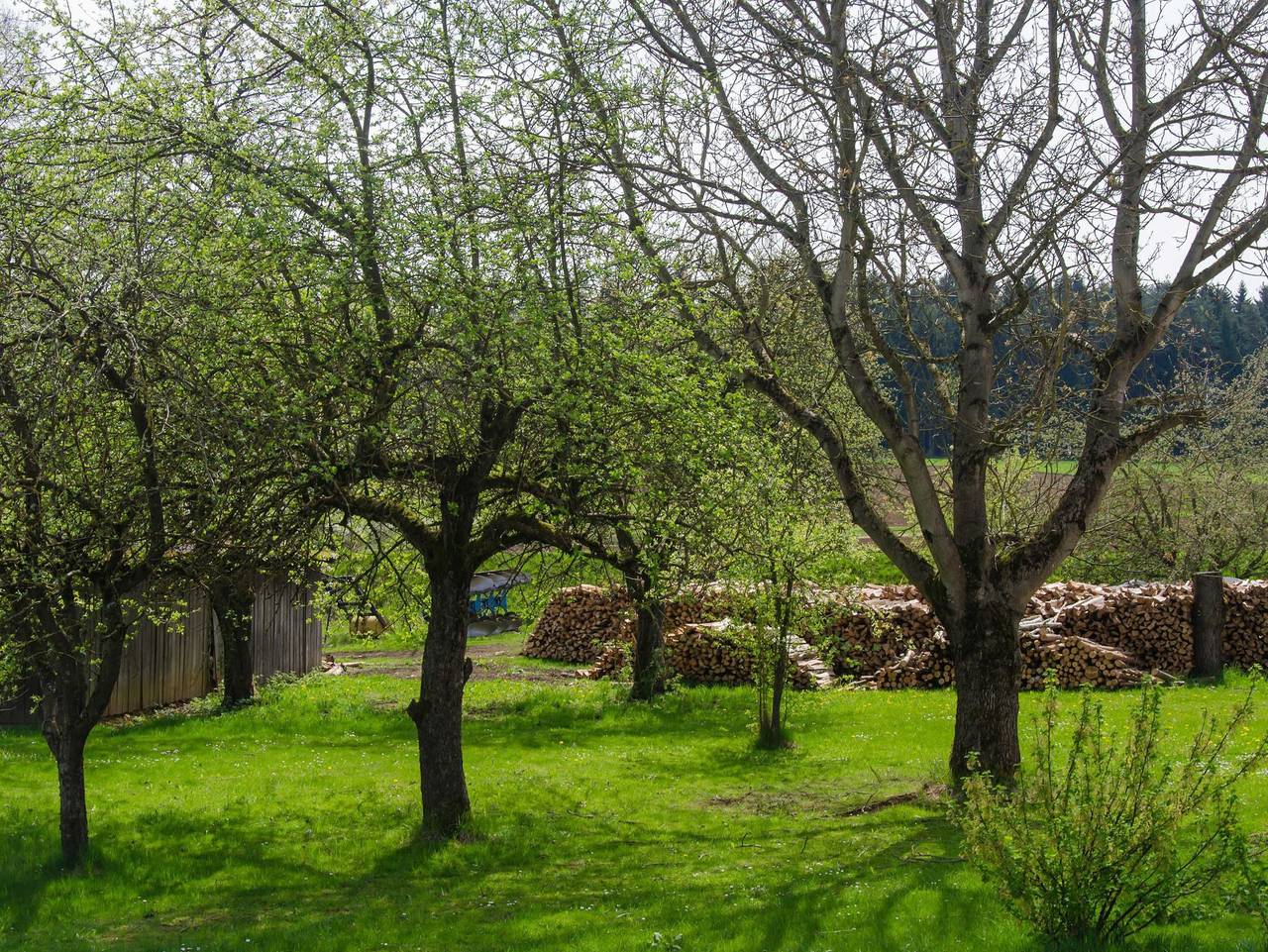 Ganze Ferienwohnung, Ferienwohnung Kobelsberg in Aufseß, Fränkische Schweiz