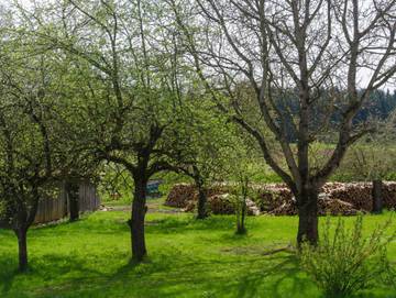 Ferienwohnung für 6 Personen in Aufseß, Fränkische Schweiz, Bild 4