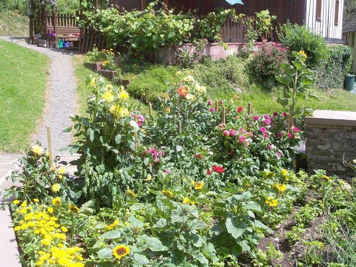 Gîte pour 4 personnes, avec jardin ainsi que vue et sauna à Morsbach - 2