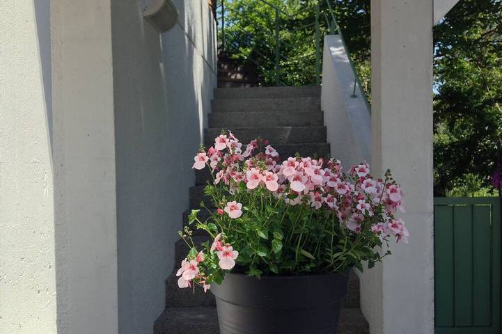 Ferienwohnung für 4 Personen, mit Balkon in Lienz - 3
