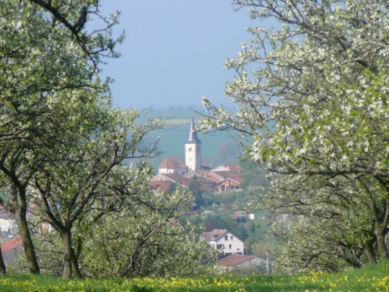 Charmant Gîte en Lorraine, Proche Nancy et Vosges, Terrasse et Confort Tout Équipé in Rozelieures, Région de Lunéville