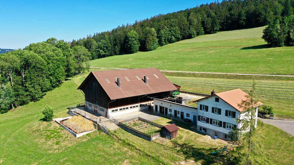Chambre d'hôtes - La Boutique - Dreibettzimmer in Saignelégier, Kanton Jura