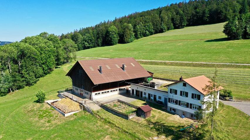 Gästezimmer für 3 Personen, mit Garten, mit Haustier - 1