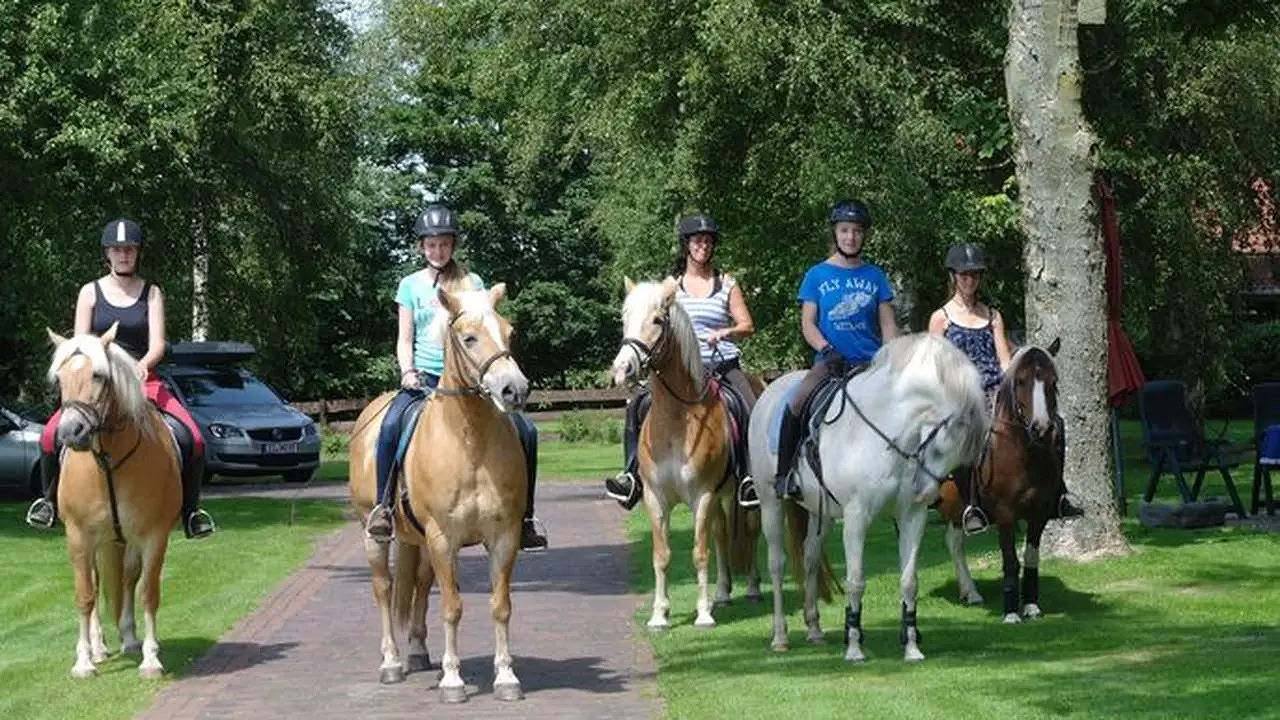Ganze Ferienwohnung, Ferienwohnung für 4 Personen (30 m²) in Detern in Detern, Ostfriesland