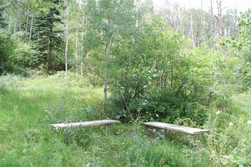 Cottage for 10 Guests in Southwest Colorado, San Juan National Forest, Picture 4