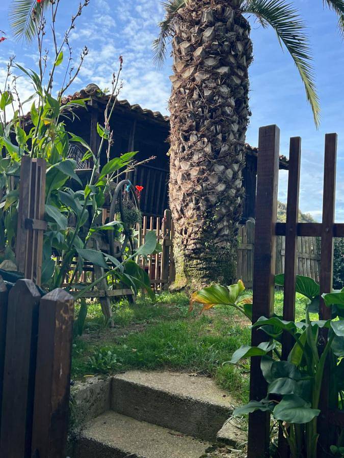Casa rural para 6 personas, con Balcón y Terraza además de Jardín y Vistas en Asturias - 2