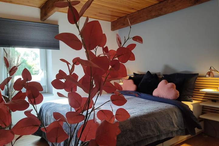 Gîte 800 m. seaside, Gr34, Spa, enclosed garden, dogs welcome. in Ploudalmézeau, Brest region