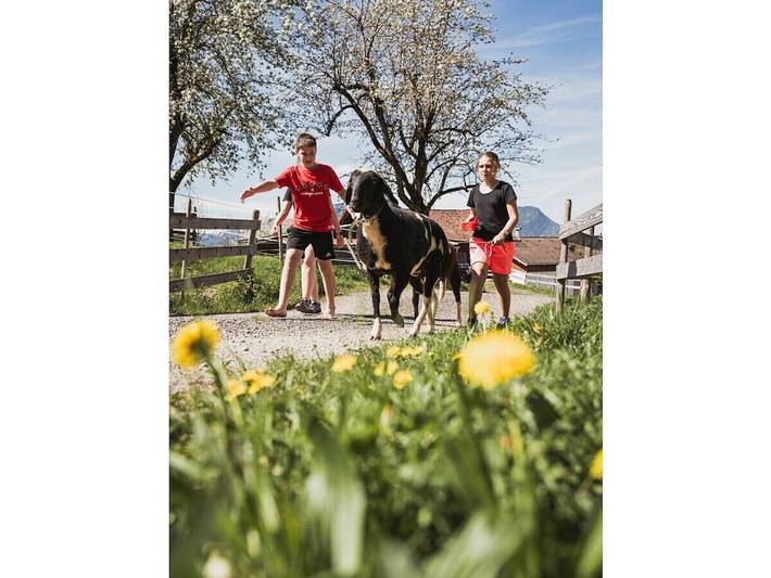 Ferienhaus für 5 Personen, mit Balkon in Rettenberg - 4