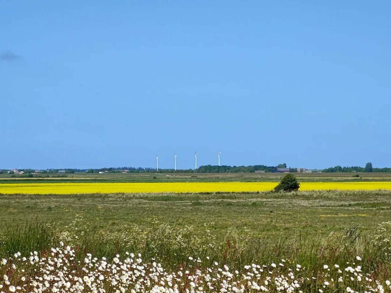 6 person holiday home in Højer in Højer, Tønder Region
