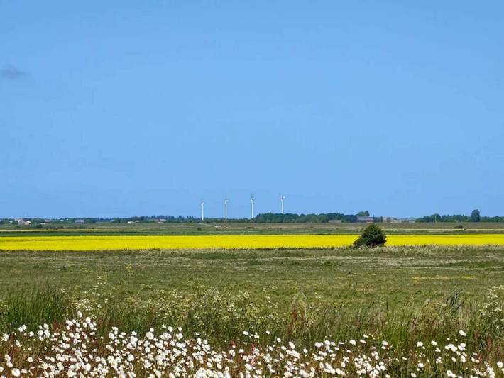 Ferienhaus für 4 Personen, mit Haustier in Højer - 4