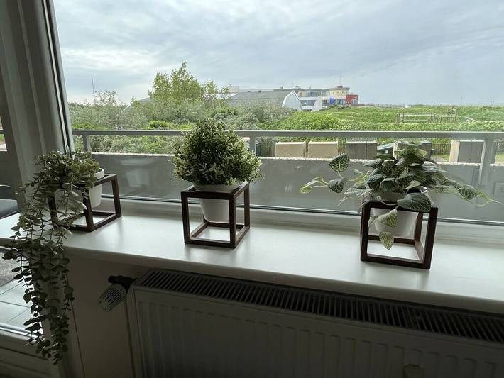 Ferienhaus für 4 Personen, mit Balkon, mit Haustier auf Borkum - 4
