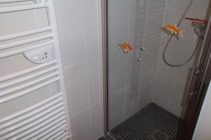 Gîte pour 4 personnes, avec terrasse dans Plage La Capte - 4