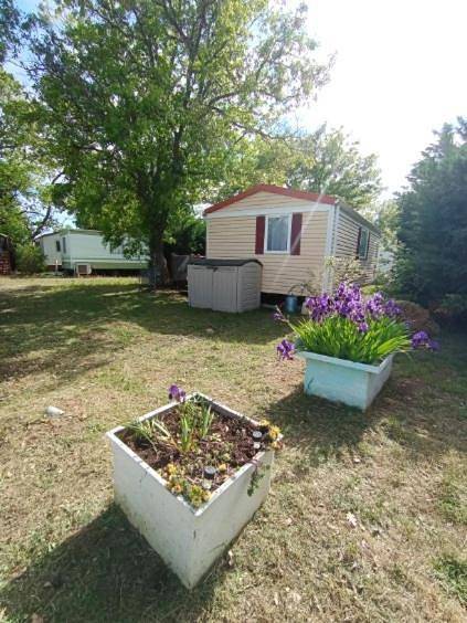Camping pour 4 personnes, avec jardin et terrasse
