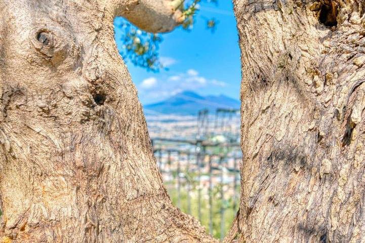Ferienhaus für 10 Personen, mit Garten und Balkon - 1