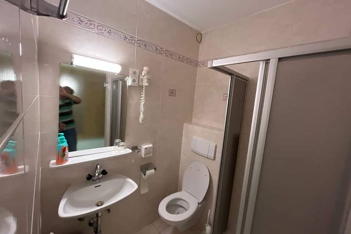 Zimmer 03 / 1Bett mit Balkon - Pension Alpina in Obsteig, Bezirk Imst