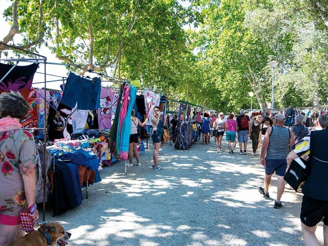Casa en Costa Brava: Barbacoa, Wifi, Gran Jardín, Cerca Playa, Parking in San Pedro Pescador, Alt Empordà