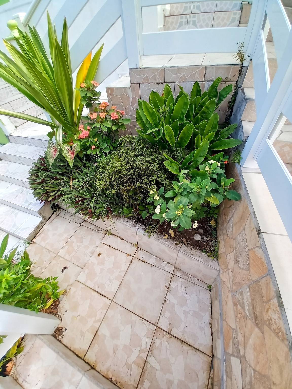 Entire apartment, Charming Apartment in Deshaies with Balcony - 35 m² in Deshaies, Guadeloupe (Caribbean)