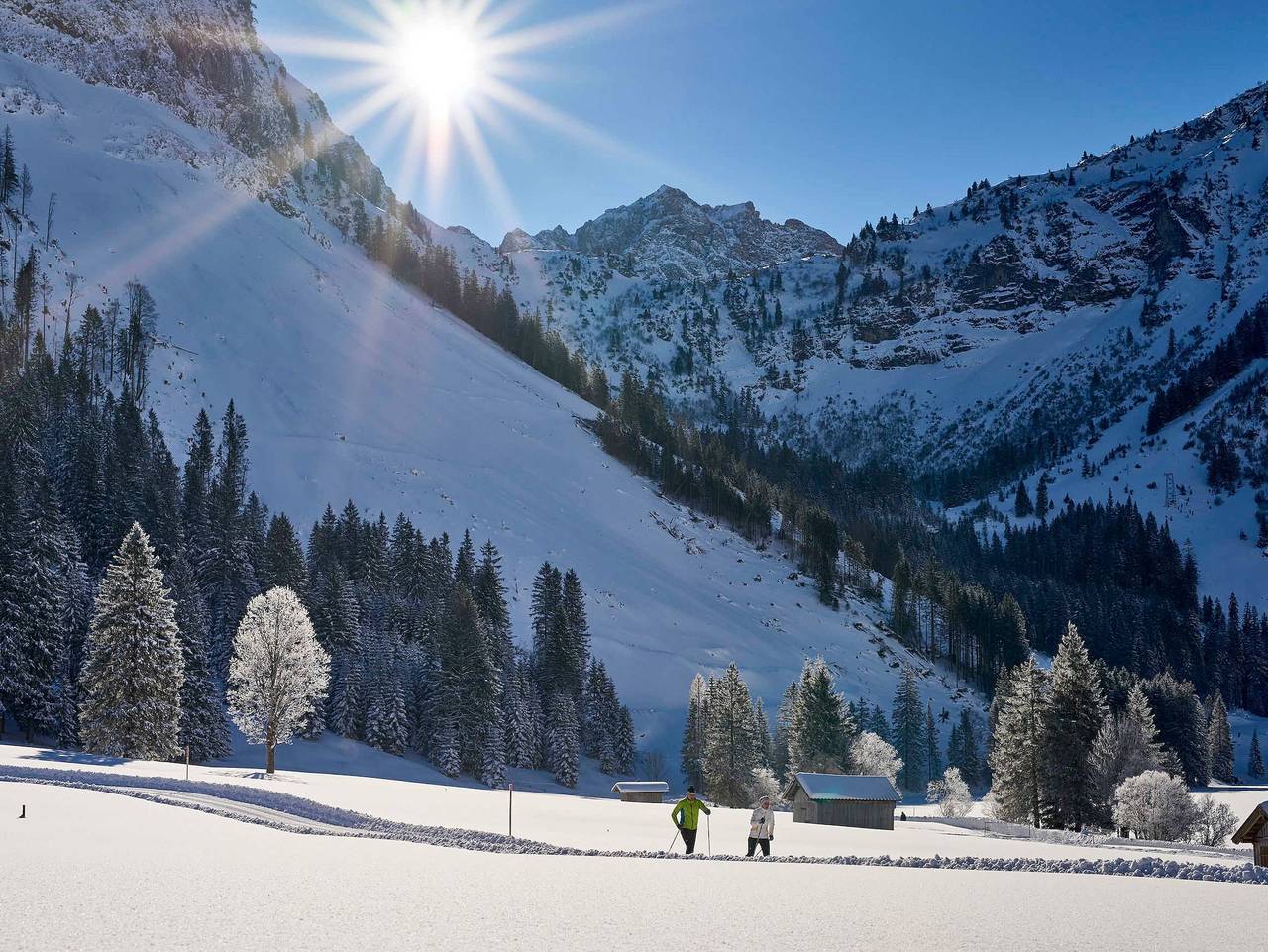 Ganze Ferienwohnung, Appartements Vilsalp - Tan 1 ost (1-2 Personen) in Tannheim (Tirol), Allgäuer Alpen (Österreich)