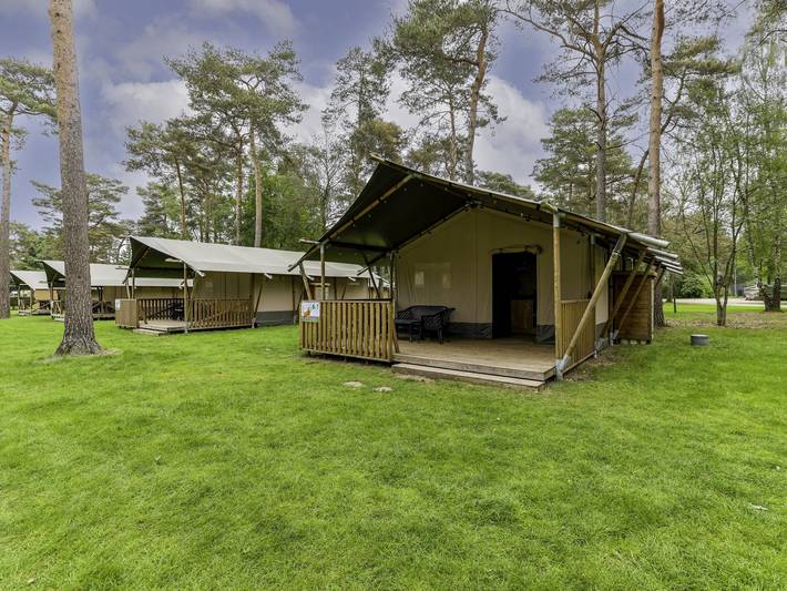 Luxe tent voor 6 personen, met Terras en Tuin in Noord-Brabant