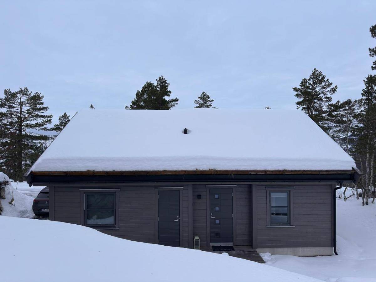 Moderne fjellhytte Gautefall, Norge in Gautefall, Drangedal